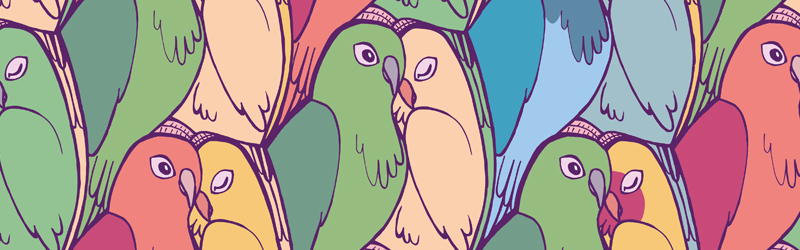 illustration banner love birds pattern
